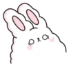 Suppy the white rabbit 1 MOV 17