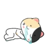 😿Mochis Sad💔 MOV 20