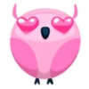 Colorful owl 17