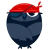 Colorful owl 18