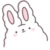 Suppy the white rabbit 1 MOV 19