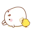 Molang & Piu piu MOV 2 20