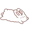 Suppy the white rabbit 2 MOV 18