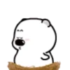 TIERNO POLAR 2 mov. 21