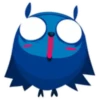 Colorful owl 20