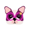 simones perrito cute 2 16