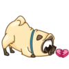 Me pug dog 16