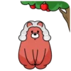 OSO Y AMIGOS mov. 18