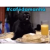 Animalitos 2🖤 22