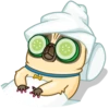 Me pug dog 17