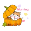 ️Halloween cat MOVbyYessy 20