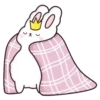 Suppy the white rabbit 1 MOV 23