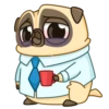Me pug dog 19