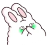 Suppy the white rabbit 2 MOV 24