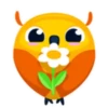 Colorful owl 23