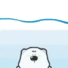 TIERNO POLAR 1 mov. 6