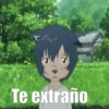 WOLF CHILDREN 5