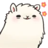 Elegant lama from elegant-llama.tumblr.com 6
