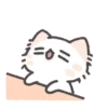 Kawaii 🐱Cat Tierno Mov 7