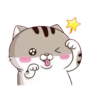 LINDO GATITO mov. 5