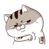 LINDO GATITO mov. 6