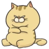 Thomas cat 5