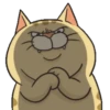 Thomas cat 6