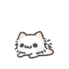 Kawaii 🐱Cat Tierno Mov 8