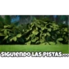 ஓீ͜͜͡❥Baby Angry Birds 2.Mov 9