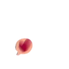 QueLindo 8