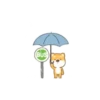 PERRO SOLITARIO 7
