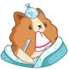 Hamster Bernard 6