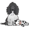 PerritosHappymov 14