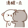 PeachCAT 7
