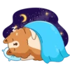 Hamster Bernard 8