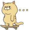 Thomas cat 13