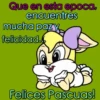 PASCUA 2Mov 14