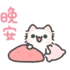 Kawaii 🐱Cat Tierno Mov 14