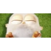 ஓீ͜͜͡❥Baby Angry Birds 2.Mov 18