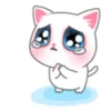 CATS mov. 16