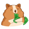 Hamster Bernard 11