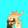 CATS mov. 17