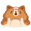 Hamster Bernard 12