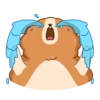 Hamster Bernard 13