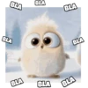 Baby Angry Birds 16