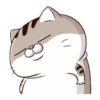 LINDO GATITO mov. 16