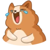 Hamster Bernard 14