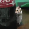 Funny ANIMALS 20