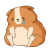Hamster Bernard 16