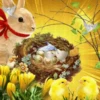 PASCUA 2Mov 18